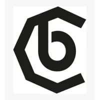 Logo Bordegoni