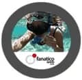 Logo FanaticoWeb Solutions Srl